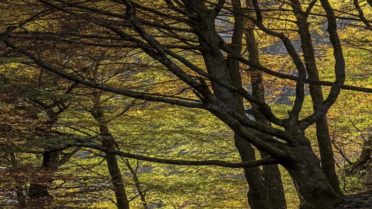 Indian Summer im Nationalpark Gesäuse