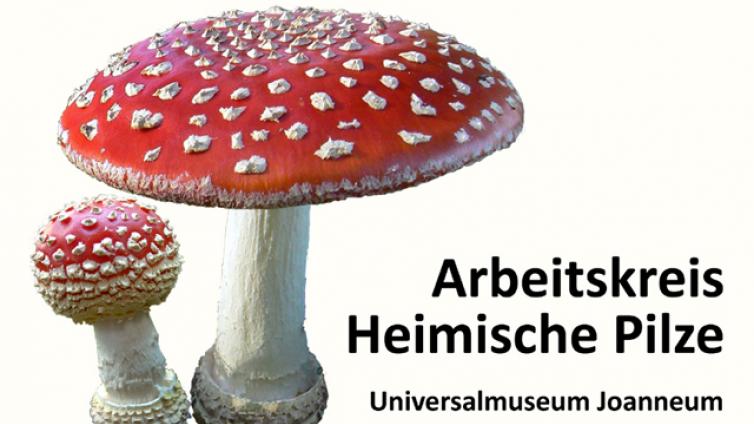 Jour fixe Heimische Pilze-c-Joanneum.jpg © Joanneum Jour fixe Heimische Pilze