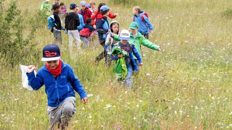 K Kinder Naturerlebniswoche KinderWeideBlumen