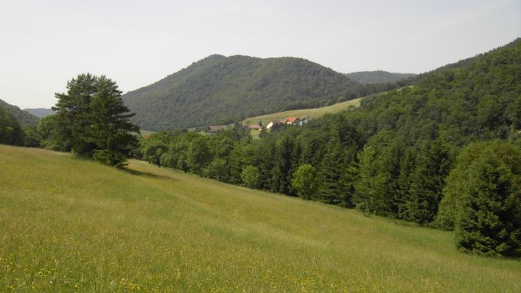 Krems-Senftenberg -c- Gabriele Pfundner.jpg © Gabriele Pfundner Krems Senftenberg