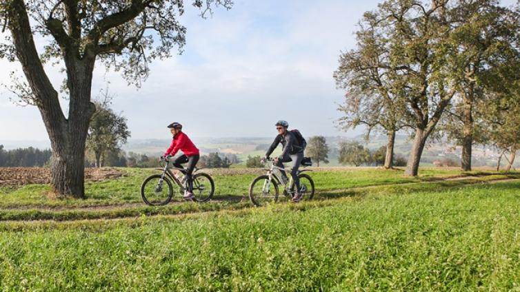 mit-dem-ebike-kurpark-naturpark-c-ooetourismus-andreas-roebl.jpg © ooetourismus-andreas-roebl mit dem ebike kurpark naturpark