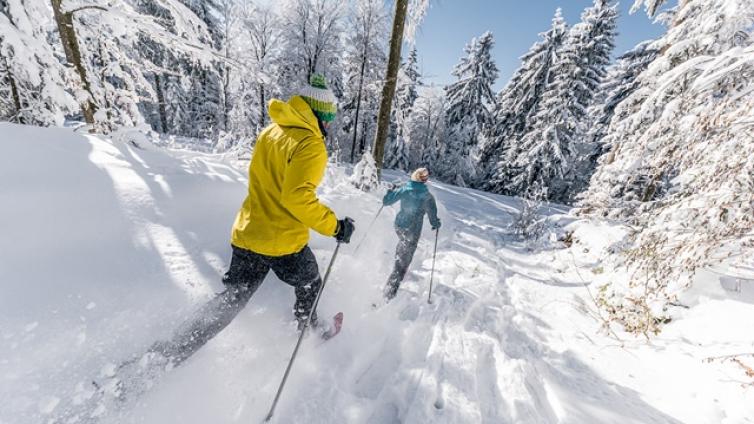 mit-der-pechfackel-durch-den-boehmerwald-c-ooetourismus-gmbh-david-lugmayr-1.jpg © ooetourismus-gmbh-david-lugmayr-1 mit der pechfackel durch den boehmerwald