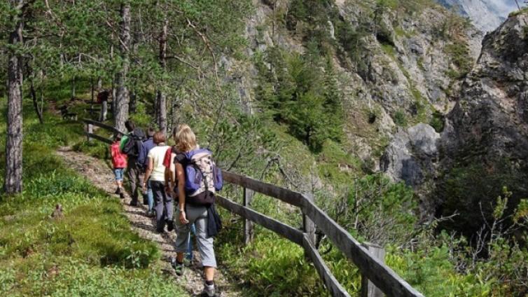 Nature Watch Karwendelschlucht