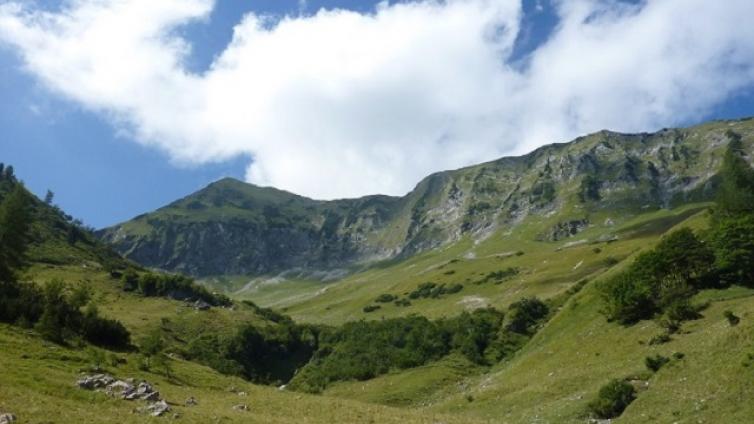 Nature-Watch-Moosenalm-c-Naturpark-Karwendel-S.Sturn.jpg © Naturpark-Karwendel-S.Sturn Nature Watch Moosenalm