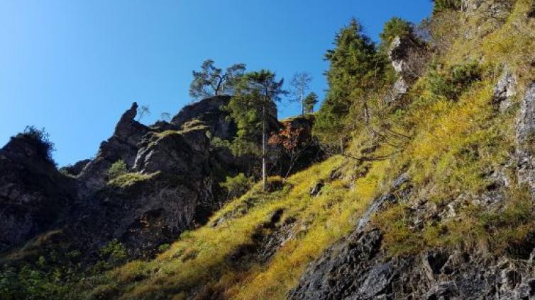 Naturerlebnis Spitzenbachklamm-c-Harald Komposch.jpg © Harald Komposch Naturerlebnis Spitzenbachklamm