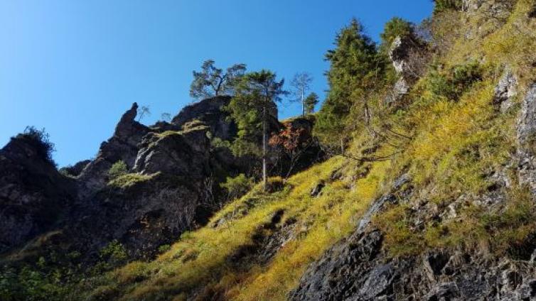 Naturerlebnis Spitzenbachklamm