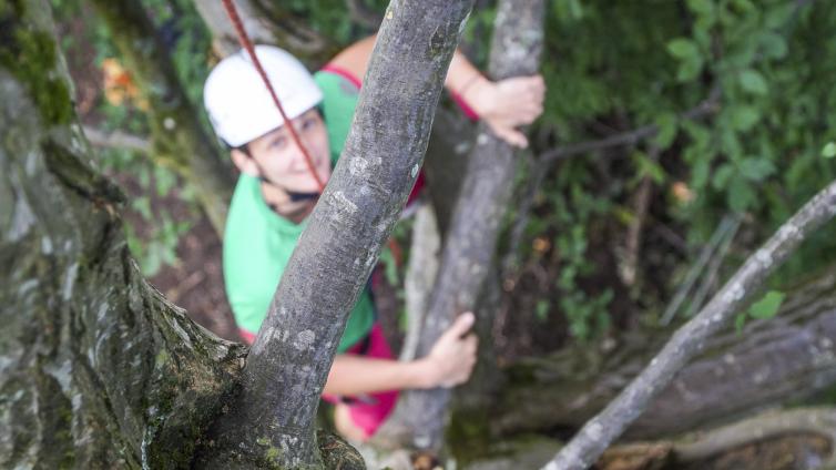 no-reuse-20-abenteuer-wald-c-nup-attersee-traunsee-clemens-schnaitl.jpg © nup-attersee-traunsee-clemens-schnaitl no reuse 20 abenteuer wald