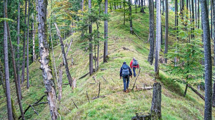 no-reuse-20-am-weg-zur-waldwildnis-c-euopean-wilderness-society-1.jpg © euopean-wilderness-society-1 no reuse 20 am weg zur waldwildnis