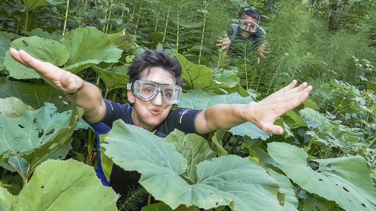 no reuse 20 auf tauchgang im waldmeer