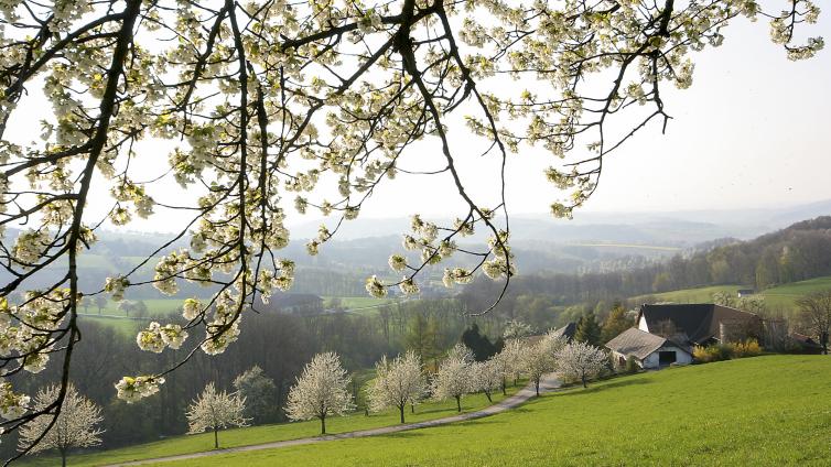 no reuse 20 geniessen und trauemen unter obstbauemen