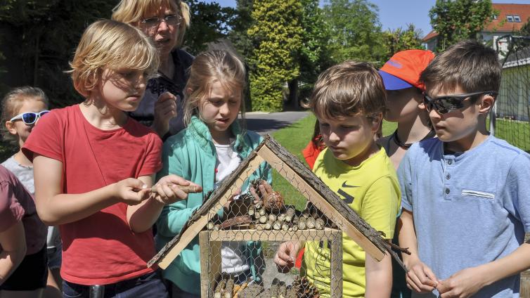 no-reuse-20-ich-bau-mir-ein-insektenhotel-c-martina-hochleitner-1.jpg © martina-hochleitner-1 no reuse 20 ich bau mir ein insektenhotel