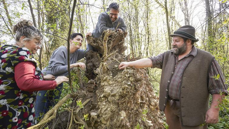 no reuse 20 im waldkammergut