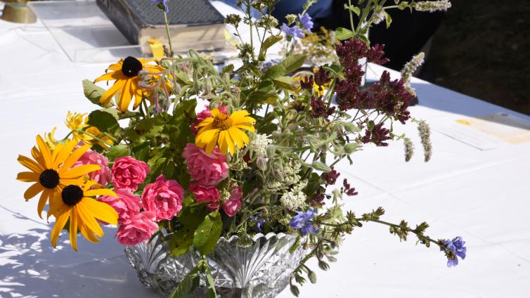 no-reuse-20-Jahre-Kräuterfest-c-NationalparkThayatal.jpg © NationalparkThayatal no reuse 20 Jahre Kräuterfest