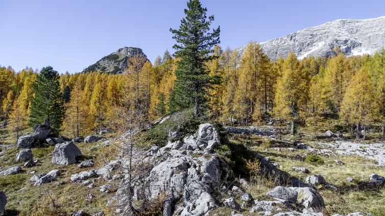 no-reuse-20-VAR-HAUPT-bergparadies-warscheneck-c-martha-riess-1.jpg © martha-riess-1 no reuse 20 VAR HAUPT bergparadies warscheneck