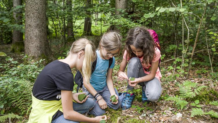 no reuse 20 VAR UNTER auf den spuren des wassermanns kinder