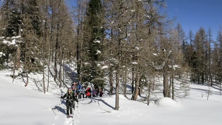 no-reuse-20-VAR-UNTER-bergparadies-warscheneck-larchenzirbenurwald-winter-c-b-koerbler-1.jpg © b-koerbler-1 no reuse 20 VAR UNTER bergparadies warscheneck larchenzirbenurwald winter