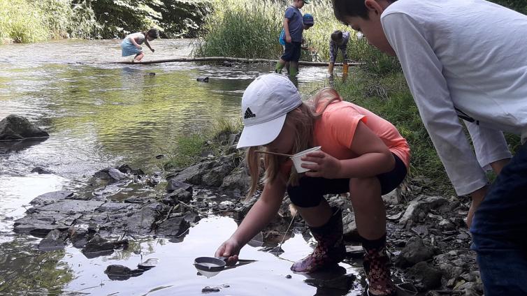 no-reuse-20190623-210416-c-NatuerlichLernen Obetzhofer.jpg © NatuerlichLernen Obetzhofer no reuse 20190623 210416