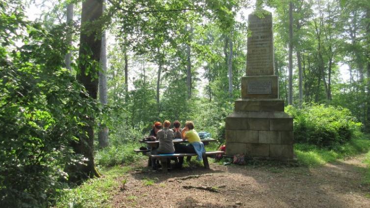 no-reuse-AchtsamesWandernMai2019-c-Naturpark Purkersdorf.JPG © Naturpark Purkersdorf.JPG no reuse AchtsamesWandernMai2019