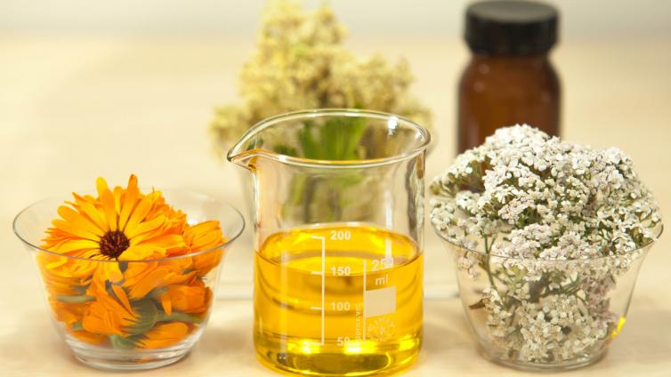 no-reuse-Grundlagen-der-Kräuterkosmetik-c-pixabay.jpg © pixabay no reuse Grundlagen der Kräuterkosmetik
