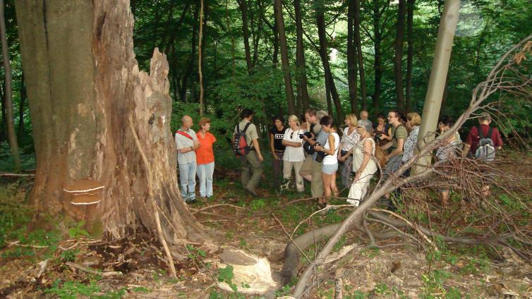no-reuse-Johannser Kogel Wanderung-c-Forstbetrieb der Stadt Wien.JPG © Forstbetrieb der Stadt Wien.JPG no reuse Johannser Kogel Wanderung