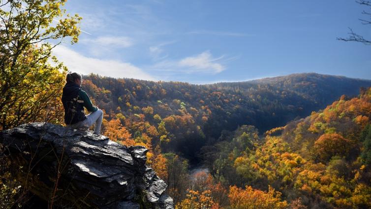 no-reuse-Jubiläumswandertag-mit-Radio-NÖ-c-NationalparkThayatal-ChristophMilek.jpg © NationalparkThayatal-ChristophMilek no reuse Jubiläumswandertag mit Radio NÖ