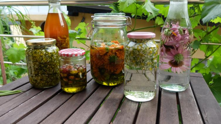 no-reuse-kräuteransätze-c-köttler.JPG © köttler.JPG no reuse kräuteransätze