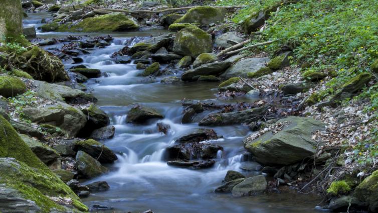no-reuse-Mystische-Geschichten-aus-dem-Kajabachtal-c-NationalparkThayatal-C.Sonvilla.jpg © NationalparkThayatal-C.Sonvilla no reuse Mystische Geschichten aus dem Kajabachtal