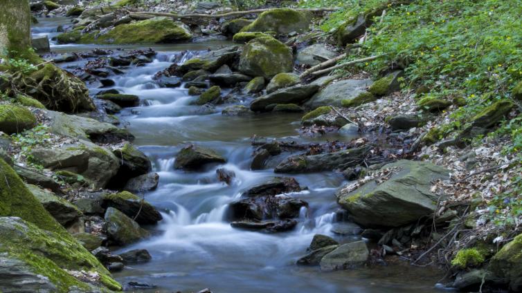 no reuse Mystische Geschichten aus dem Kajabachtal