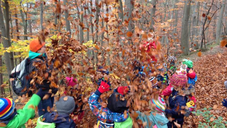 no-reuse-NP-Jahreszeitenprojekt2016-c-Naturpark Purkersdorf.jpg © Naturpark Purkersdorf no reuse NP Jahreszeitenprojekt2016