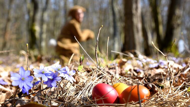 no reuse Ostern auf der Ruine Kaja