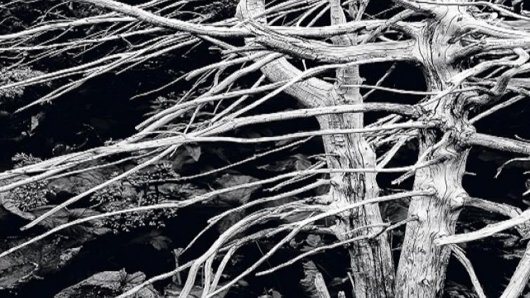 no-reuse-starting your analog BW photography-c-Nationalpark-Gesäuse-HerbertKöppl.jpg © Nationalpark-Gesäuse-HerbertKöppl no reuse starting your analog BW photography