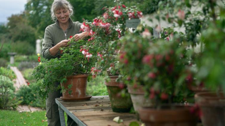 no-reuse-Webinarreihe-Tipp-c-Natur-im-Garten.jpg © Natur-im-Garten no reuse Webinarreihe Tipp