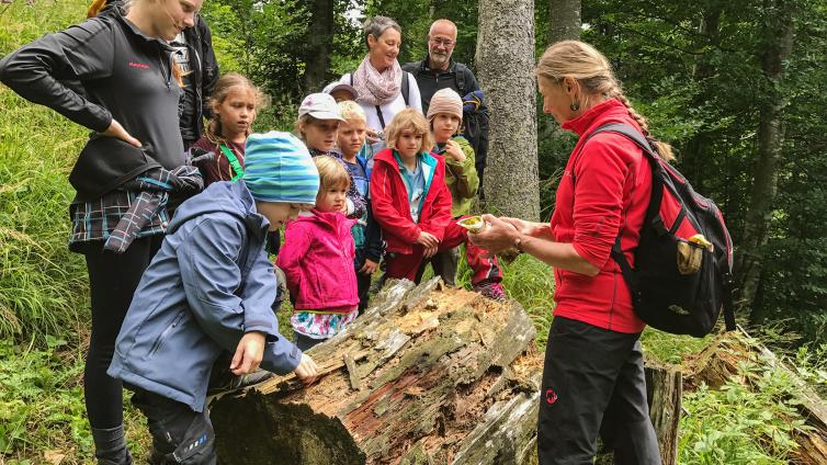 no-reuse-WildnisCamp-fuer-Familien-Abenteuer-Wald-c-NP-Kalkalpen-IEgelseer.jpg © NP-Kalkalpen-IEgelseer no reuse WildnisCamp fuer Familien Abenteuer Wald
