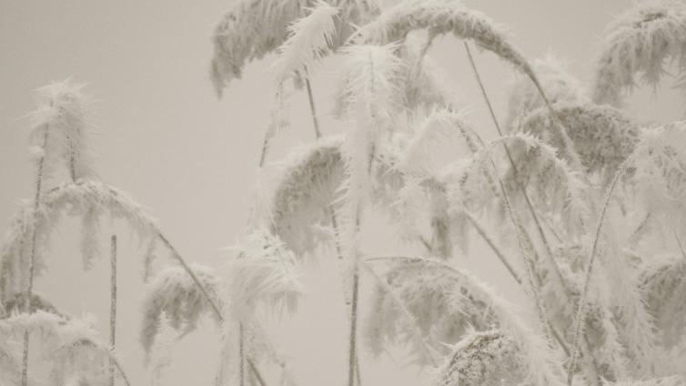 no-reuse-Winter im Nationalpark-c-Nationalpark Neusiedler See Seewinkel.jpg © Nationalpark Neusiedler See Seewinkel no reuse Winter im Nationalpark