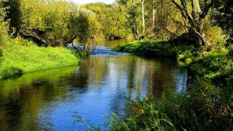 NuP Dobersberg Leben am Wasser