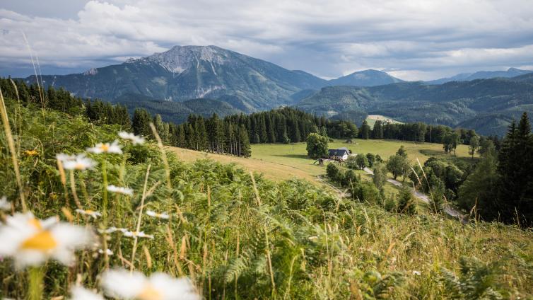 Aussicht von einer Bergwiese