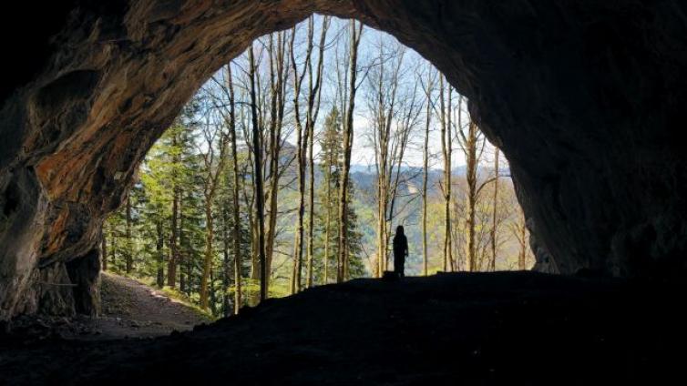 Ob der Höhlenbär