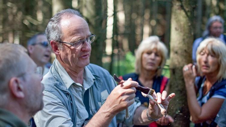 pilze-vielfaeltige-edelsteine-wald-c-thomas-reibnegger.jpg © thomas-reibnegger pilze vielfaeltige edelsteine wald