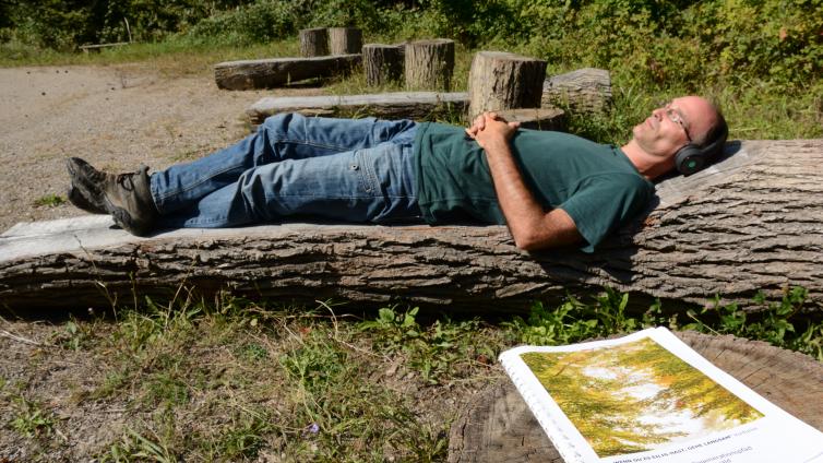 Regeneration-und-Anregung-im-Wald-c-ÖBf-GernotWaiss.jpg © ÖBf-GernotWaiss Regeneration und Anregung im Wald