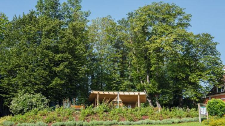 Schlosspark-Pöllau-c-Helmut-Schweighofer.jpg © Helmut-Schweighofer Schlosspark Pöllau