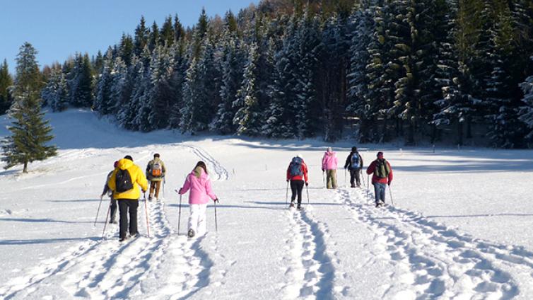 Schneeschuhwandern-Ennstal-c-Nationalpark-Kalkalpen-Wick.jpg © Nationalpark-Kalkalpen-Wick Schneeschuhwandern Ennstal