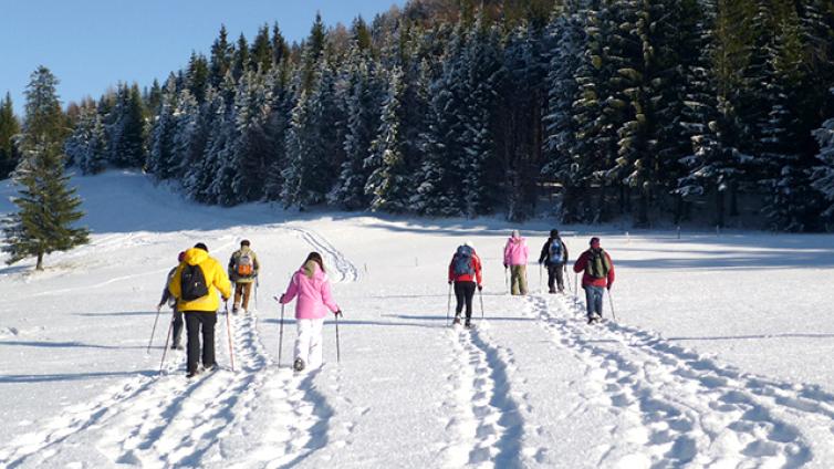 Schneeschuhwandern Ennstal