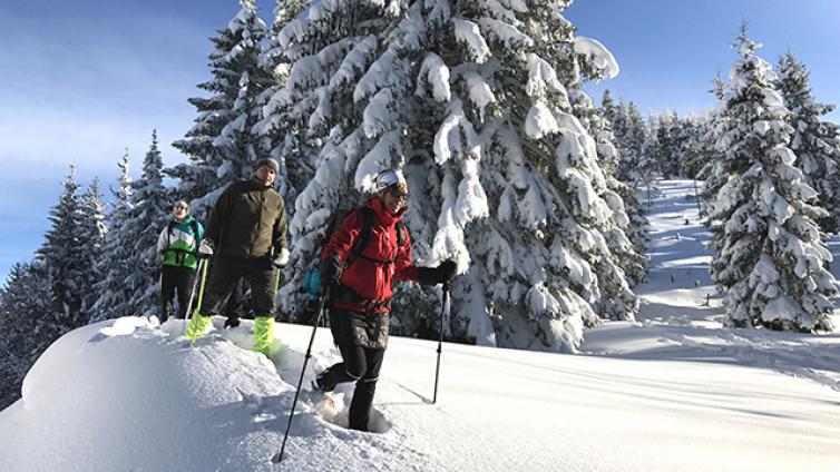 Schneeschuhwandern-Hengstpaß-c-Nationalpark-Kalkalpen-Egelseer.jpg © Nationalpark-Kalkalpen-Egelseer Schneeschuhwandern Hengstpaß
