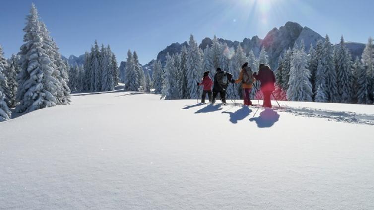 schneeschuhwanderung-bibereck-torfmoos-c-betty-jehle-1.jpg © betty-jehle-1 schneeschuhwanderung bibereck torfmoos
