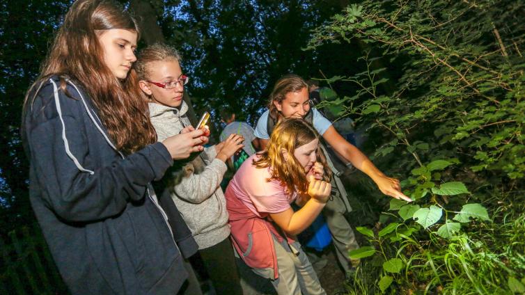 TagderArtenvielfalt Nachtführung