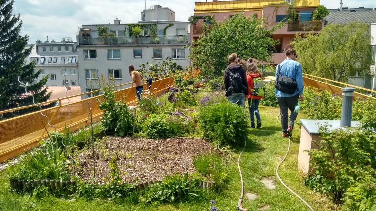 Urban Gardening