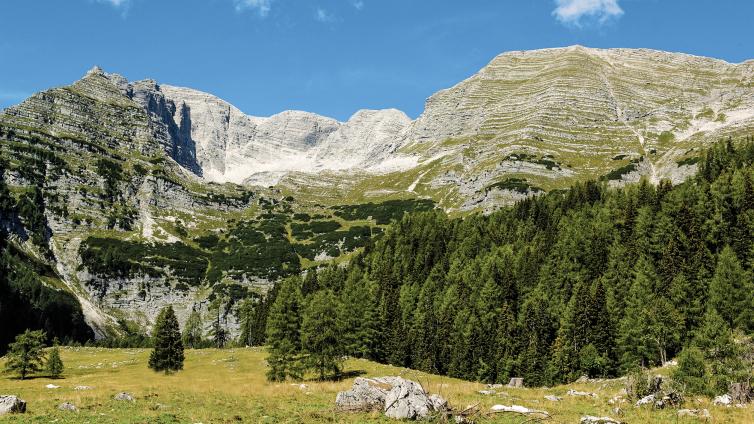 VAR-HAUPT-bergparadies-warscheneck-c-ooetourismus-erber-1.jpg © ooetourismus-erber-1 VAR HAUPT bergparadies warscheneck