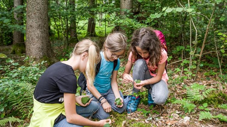 VAR UNTER auf den spuren des wassermanns KINDER