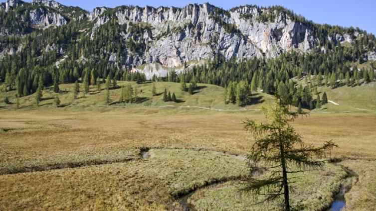 VAR-UNTER-bergparadies-warscheneck-c-franz-maier-1.jpg © franz-maier-1 VAR UNTER bergparadies warscheneck