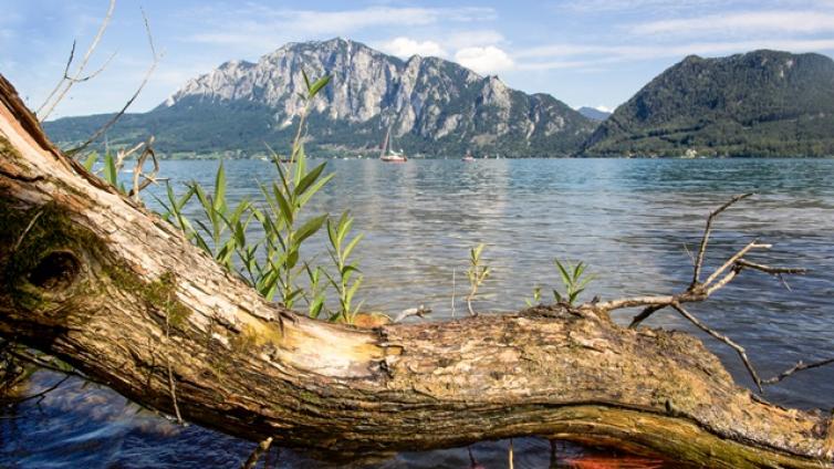 VARU-pfahlbau-am-attersee-schiffsexpedition-steinzeit-c-ooe-tourismus-erber.jpg © ooe-tourismus-erber VARU pfahlbau am attersee schiffsexpedition steinzeit